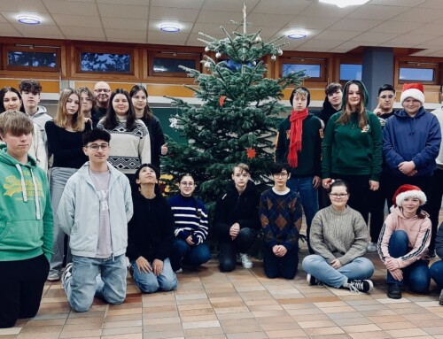 Suchspiel: Die Klasse 9a und ihr festlicher Weihnachtsbaum