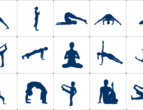 Yoga & Fitness
